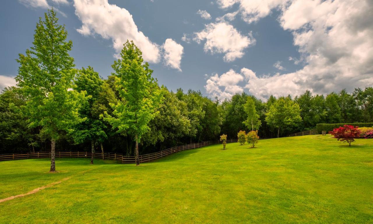 Hotel Spa Attica21 Vilalba Dış mekan fotoğraf